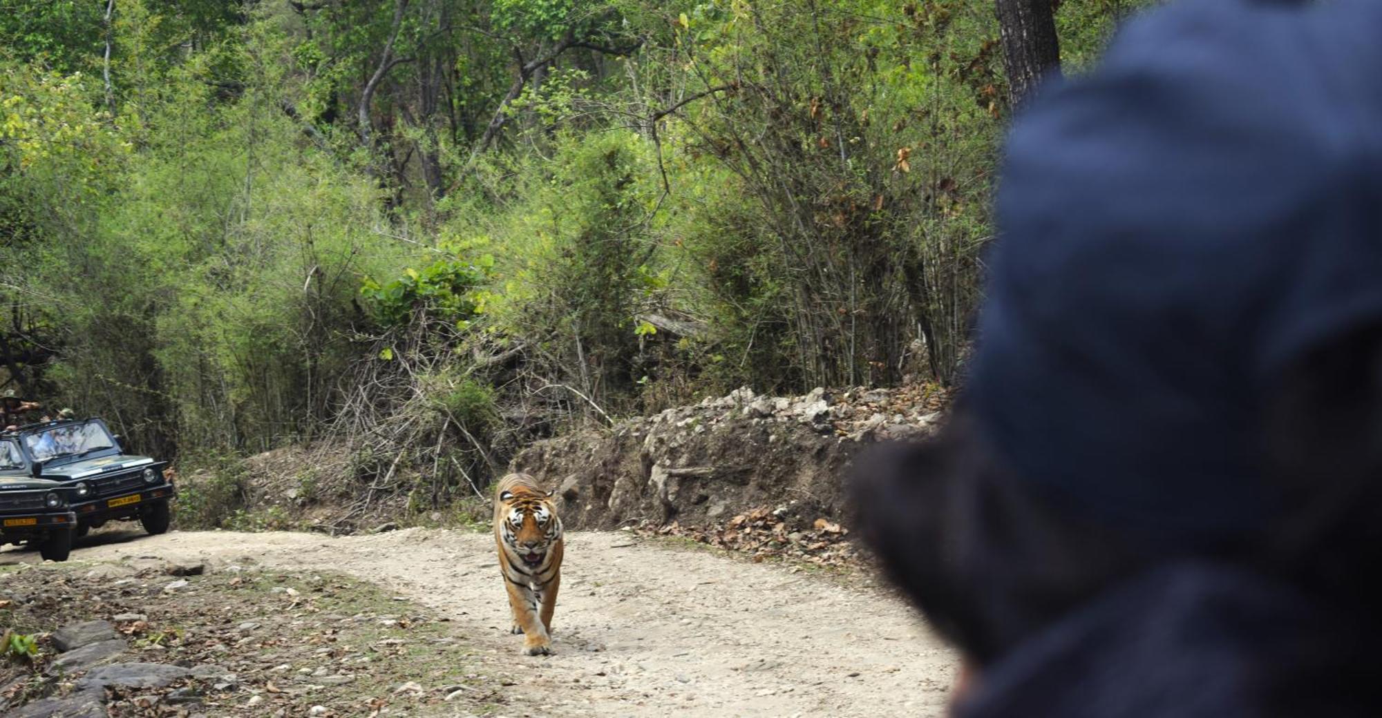 Athulyam Kanha, Kanha National Park, Mukki Gate Khāpa Exterior foto